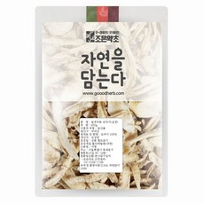 선일물산국화