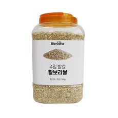 군산흰찰쌀보리(군산)