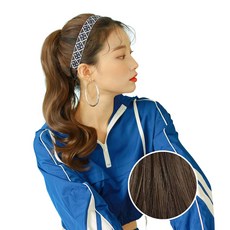 가발매니아 올림머리 포니테일 가발 2초포니 다이아, 초코브라운, 1개