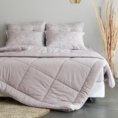 캐논ae-1소프트버튼