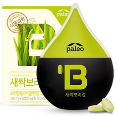 팔레오 새싹보리정 건강환, 45g, 1개