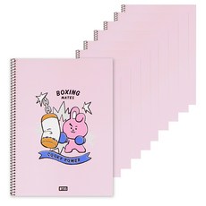 BT21 스프링 중고라인노트, 쿠키, 10개
