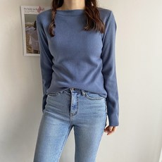 엘립손connect250