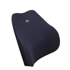 CarStory A1 퍼펙트케어 자동차 등받이쿠션, 블랙, 1개