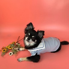 jpress강아지체크셔츠