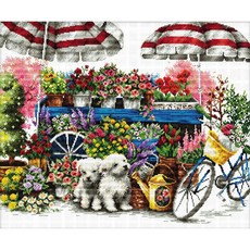 9b09c6cd-7955-4d13-80d3-f315ca2b0e96.jpg