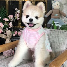 반려동물 굿나잇 조끼, 핑크