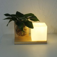 daff3774-3a65-4483-9c69-62b0105225cc.jpg