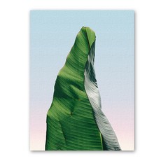 안스리움액자