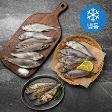 영광법성포 중장대 굴비 (냉동), 60g x 48마리, 1박스