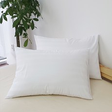 린튼 고급형 호텔식 인생 다운필 베개솜 2p + 베개커버 2p, 화이트
