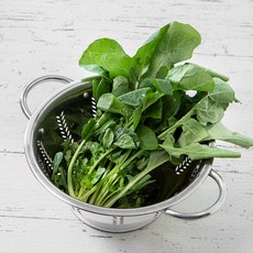 국내산 대용량 루꼴라, 100g, 1봉
