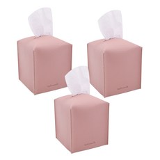 푸우티슈케이스