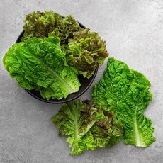 GAP 인증 국내산 반반상추, 200g, 1봉