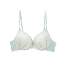 에블린 샤인블라썸 울트라푸쉬 브라
