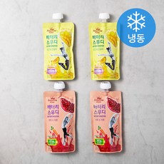 스무디킹 배터리스무디 망고 & 단호박 200g x 2p + 석류 & 캐롯 200g x 2p 세트 (냉동), 1세트
