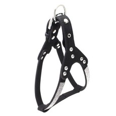 강아지큐빅이어캡