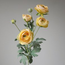 베아르시 조화 라넌큘러스 꽃 장식 2p, 옐로우