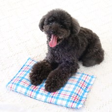 패트와매트모자