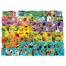 5b9bed7e-02fd-4a57-9d4e-dc8f4b2f65bd.jpg