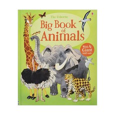 Big Book Of Animals, 어스본코리아