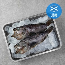 반건조 우럭 2미 (냉동), 600g, 1팩