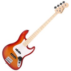 bassguitar