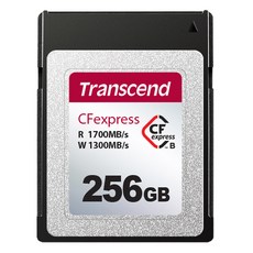 트랜센드 CFexpress 820 Type B 메모리카드, 256GB