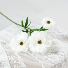7e3d1a45-8e44-41c4-aa13-6f5ba745f808.jpg