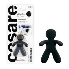 자동차프리앰프