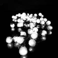 76fd758e-8357-42c0-a2e4-5ee21cf00b1c.jpg