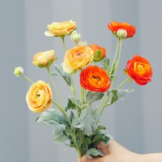 3116539a-e58d-4d35-acdb-6b82d6e6f94f.jpg