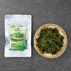 염장 옥덩굴, 100g, 1개