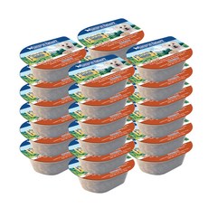 내추럴발란스 GRAIN FREE 참치 칠면조 수제 스튜 도그 포뮬라 주식컵캔 24p, 생선, 78g