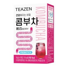 티젠 콤부차 베리, 5g, 120개