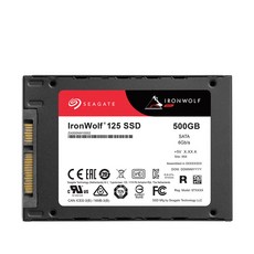 씨게이트 Ironwolf 125 SSD NAS, ZA500NM10002, 500GB