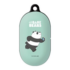 버즈대한항공케이스