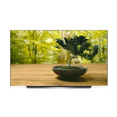 LG전자 UHD 올레드 138cm AI ThinQ TV OLED55CXGNA, 벽걸이형, 방문설치