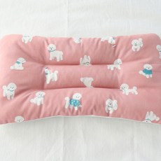 2021필로우라이언