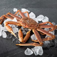 은하수산 대게 + 가위, 800g, 1마리