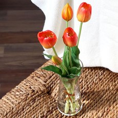 CozyHomeDeco 슬림 디켄터 유리 화병 L 610ml, 단일색상