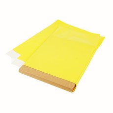 담다 LDPE 택배봉투 라임 옐로우, 100개