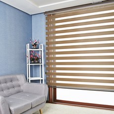 샐리나스블라인드차이점