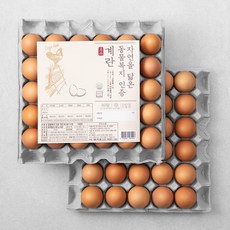 해밀 동물복지 계란, 60구, 1개