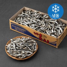 조혜정의멸치연구소 삼천포 조양호 국물멸치 냉동 1 5kg 1박스