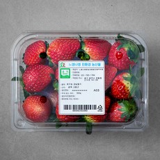 느영나영 유기농 인증 금실 딸기, 500g, 1팩