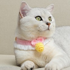 니트케이프카라