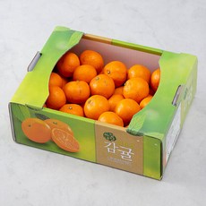 느영나영 무농약 인증 하우스감귤, 3kg, 1개