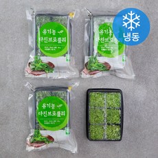 
                                                        우리땅 웰팜넷 유기가공식품 인증 다진브로콜리 (냉동), 90g, 4개
                                                    