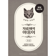 비타민자료해석